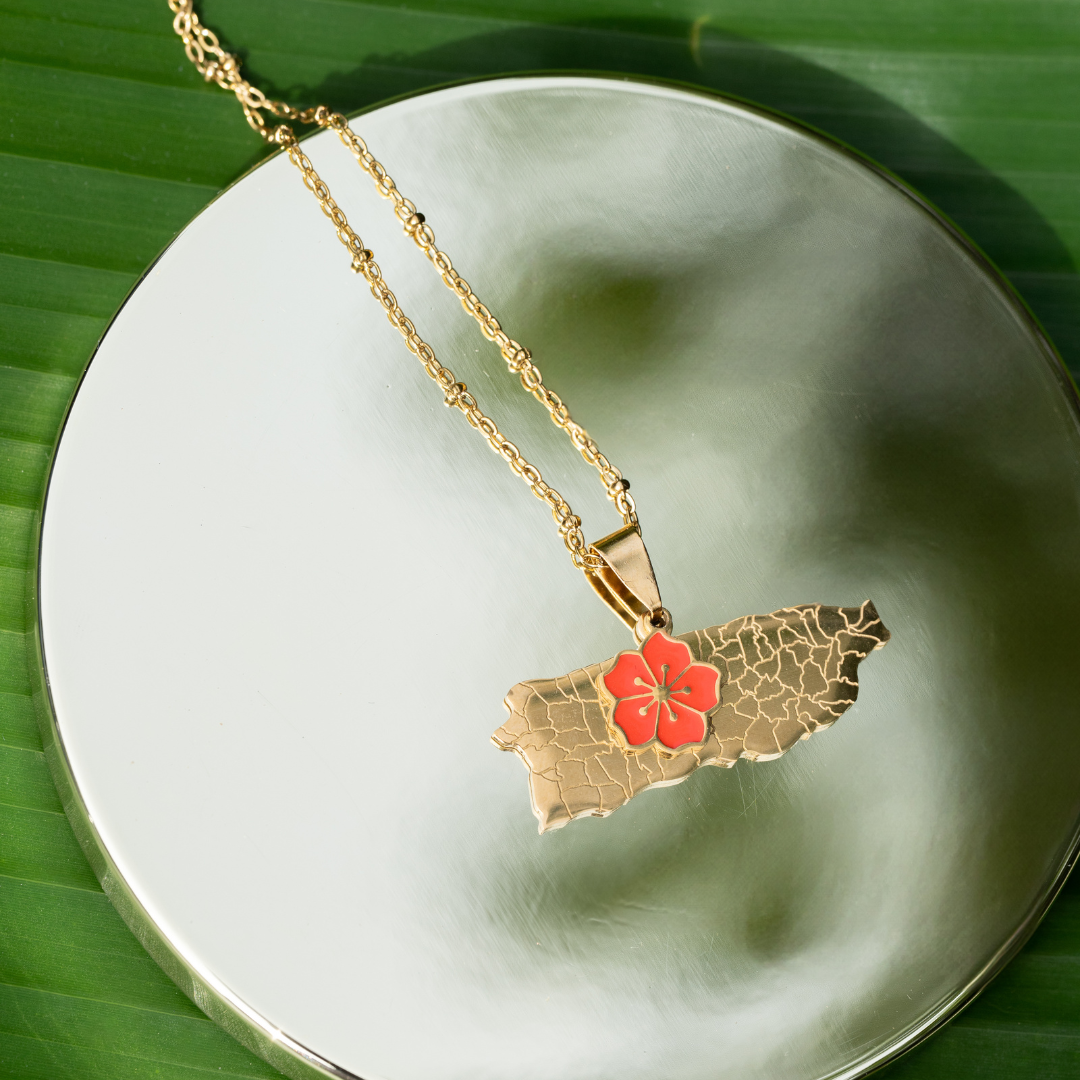 Gold necklace with a pendant shaped like a state and featuring a red flower, on a green leaf background.
