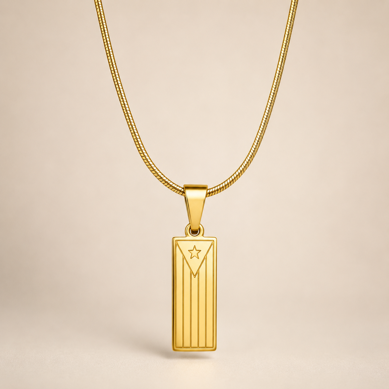 DOMINO & BANDERA NECKLACE
